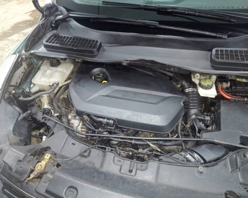 WhatsApp Image 2022-10-21 at 14.02.25 (1)