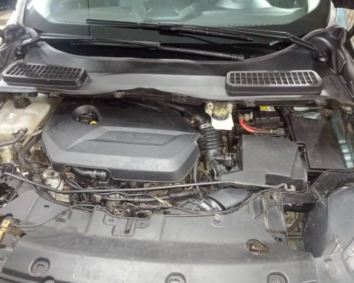 WhatsApp Image 2022-10-21 at 14.02.25