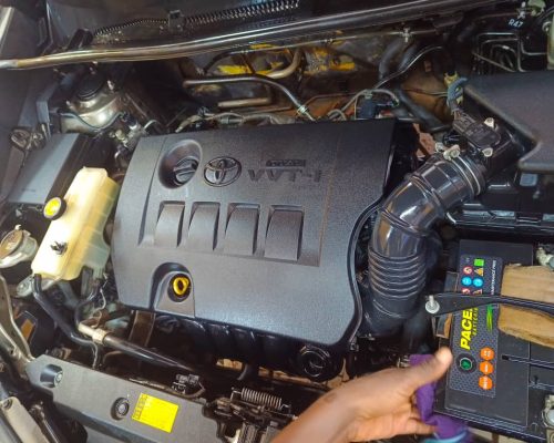 WhatsApp Image 2022-10-21 at 14.02.47